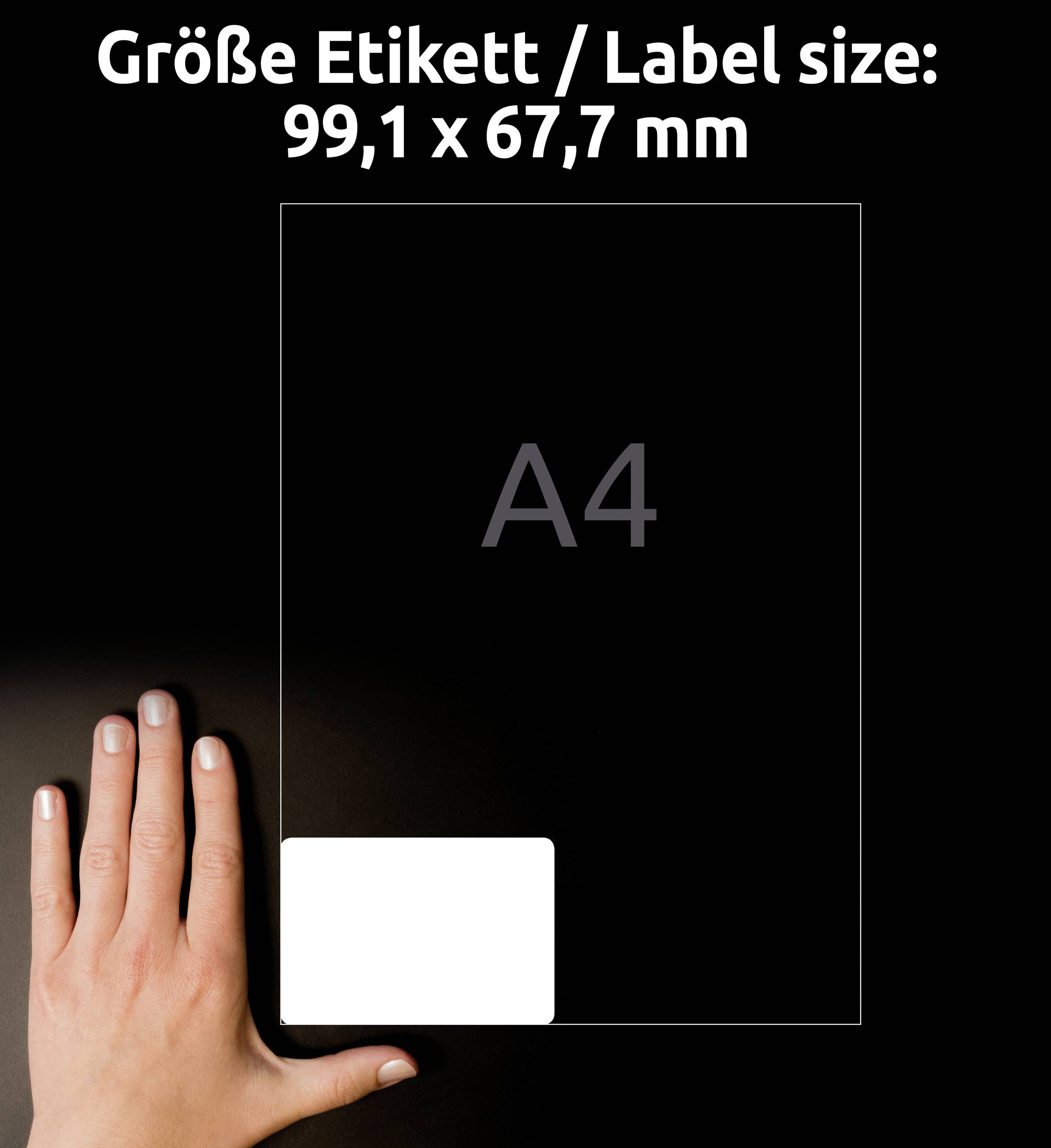 'Velikost štítku / Rozměry štítku: 99,1 x 67,7 mm' je napsáno nad listem formátu A4. Ruka ukazuje na dolní levý roh s bílým štítkem.