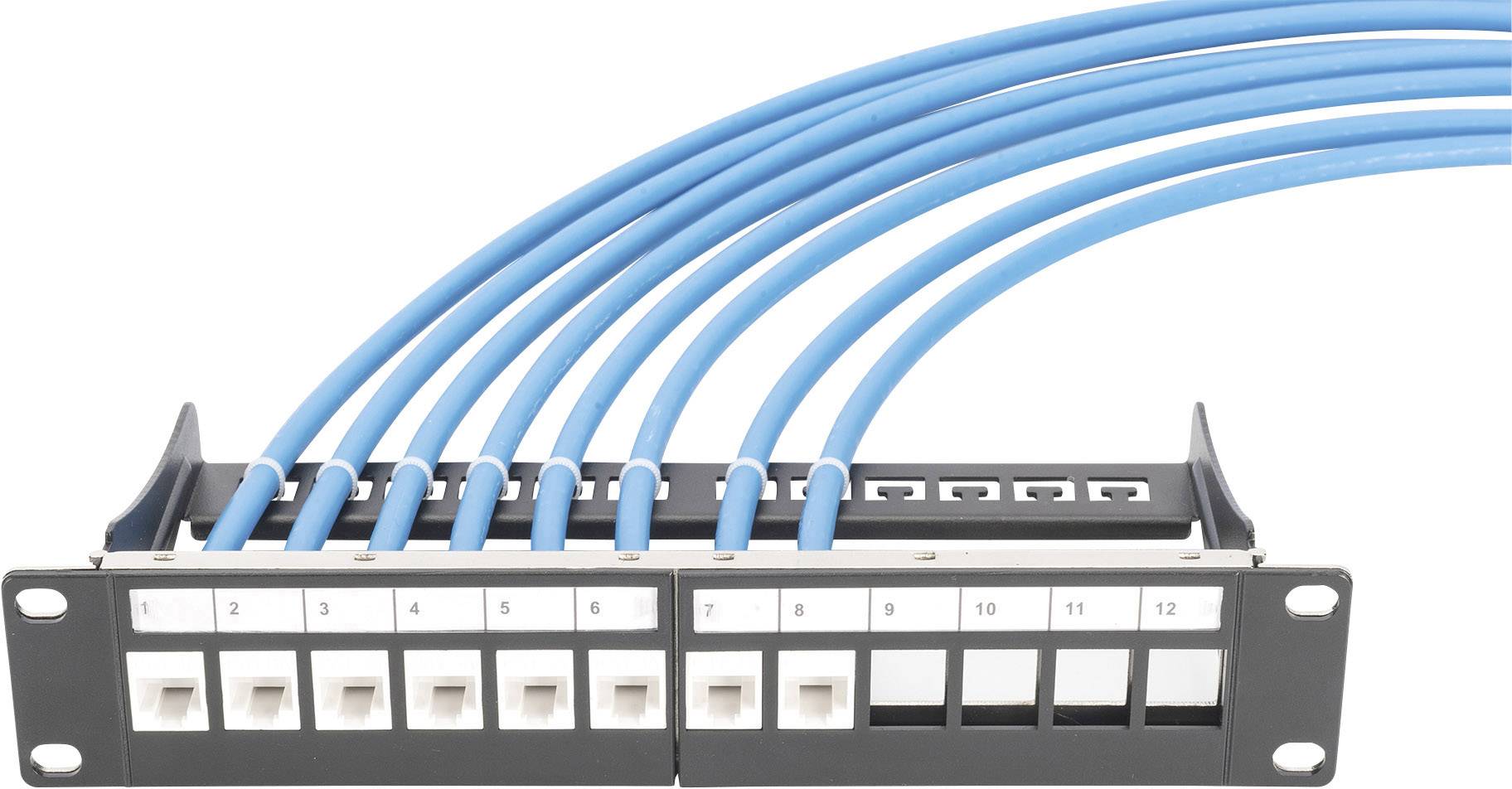Patch panel se dvanácti porty, z nichž je šest připojeno modrými ethernetovými kabely.
