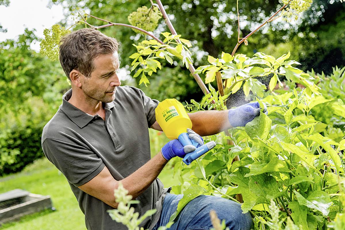 Muž postřikuje rostliny pesticidy na zahradě. Má na sobě šedou košili a modré rukavice. Venkovské prostředí.