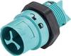 Wieland Electric RST16I3/2S S1 M02 A TB 46.032.5051.6 kulatý faston, 1 ks