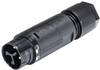 Wieland Electric RST16I3 S S1 ZT4 SW 46.032.4553.1 kulatý faston, 1 ks