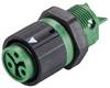 Wieland Electric RST16I3 S B1 M02 GN 46.031.5055.7 kulatý faston, 1 ks