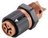 Wieland Electric RST16I3/2S B1 M02 L BR 46.031.5051.4 kulatý faston, 1 ks