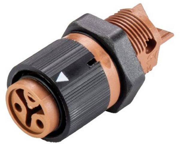 Wieland Electric RST16I3/2S B1 M02 L BR 46.031.5051.4 kulatý faston, 1 ks