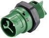 Wieland Electric RST16I3 S S1 M02 GN 46.032.5055.7 kulatý faston, 1 ks