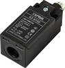 TRU COMPONENTS XZ-9/102 koncový spínač 250 V/AC 10 A kladka bez aretace IP65 1 ks