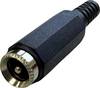 TRU COMPONENTS nízkonapěťový konektor zásuvka, rovná 5.5 mm 2.1 mm 1 ks