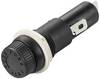 TRU COMPONENTS TC-R3-46B B, 1587908 držák pojistky, 250 V/AC, 15 A, 1 ks