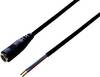 TRU COMPONENTS TC-2511306 nízkonapěťový připojovací kabel nízkonapěťová zásuvka - kabel s otevřenými konci 5.50 mm 2.50 mm 30.00 cm 1 ks