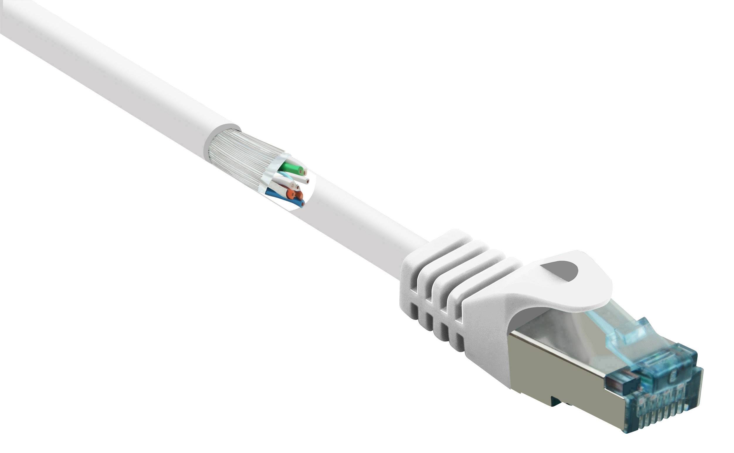 Bílý ethernetový kabel s průhledným, modře zabarveným konektorem RJ45, který se používá pro síťové připojení.
