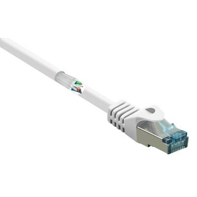 Bílý ethernetový kabel s průhledným, modře zabarveným konektorem RJ45, který se používá pro síťové připojení.
