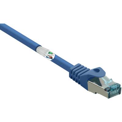 Modrý ethernetový kabel s odkrytými vnitřními vodiči a konektorem RJ-45, který se používá pro síťová připojení.
