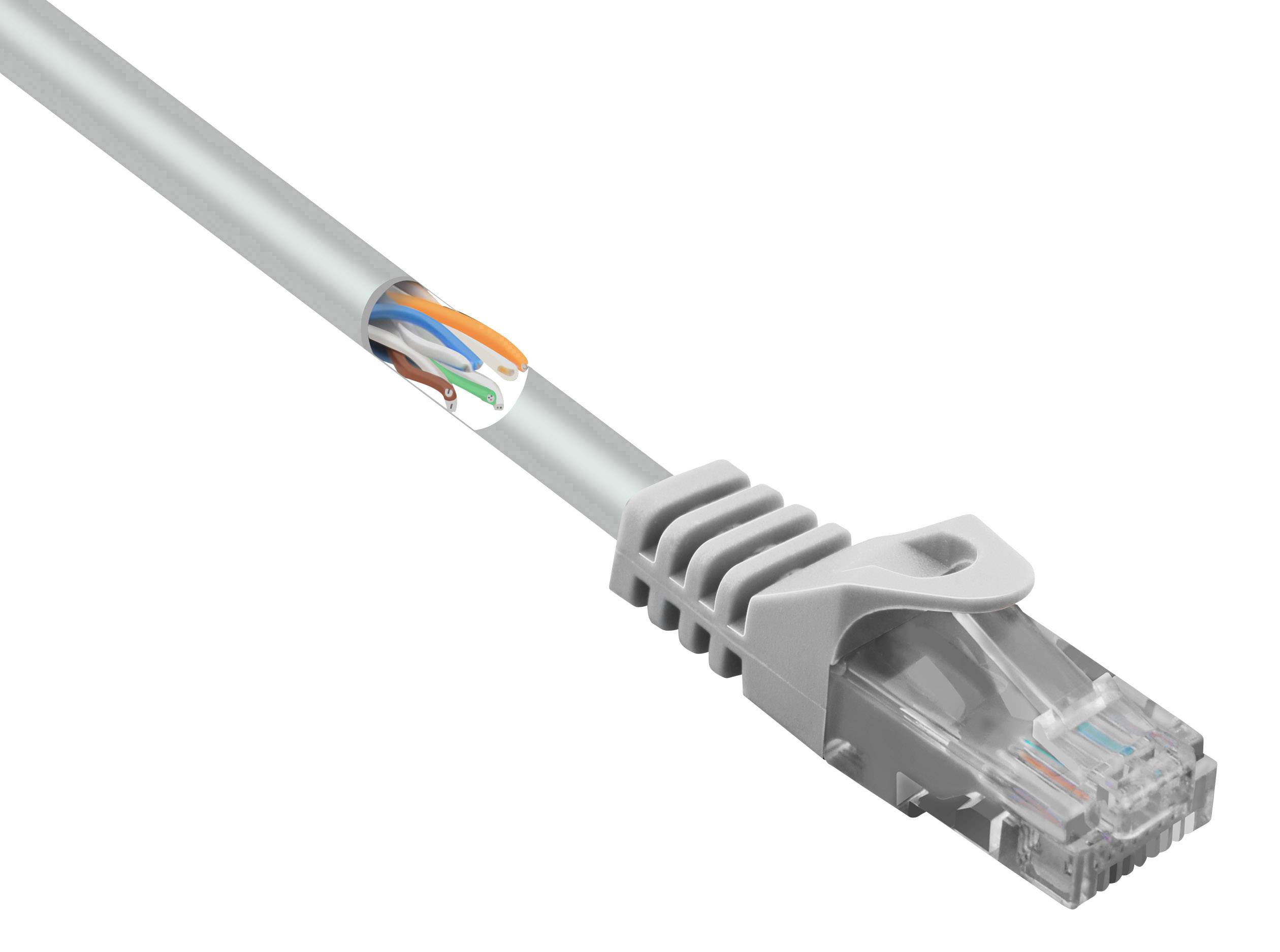 Šedý ethernetový kabel s průhlednou RJ45 koncovkou, částečně odizolovaný, odhaluje barevné vodiče uvnitř.