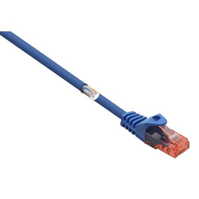 Modrý ethernetový kabel s oranžovým konektorem, částečně odizolovaný pro odhalení vodičů. Používán pro síťové připojení.
