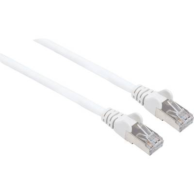 Dva bílé ethernetové kabely s konektory RJ45, vhodné pro síťová připojení a internetové přípojky.