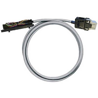 Šedý opláštěný datový kabel s otevřeným koncem a modulárním konektorem, vhodný pro síťová připojení.