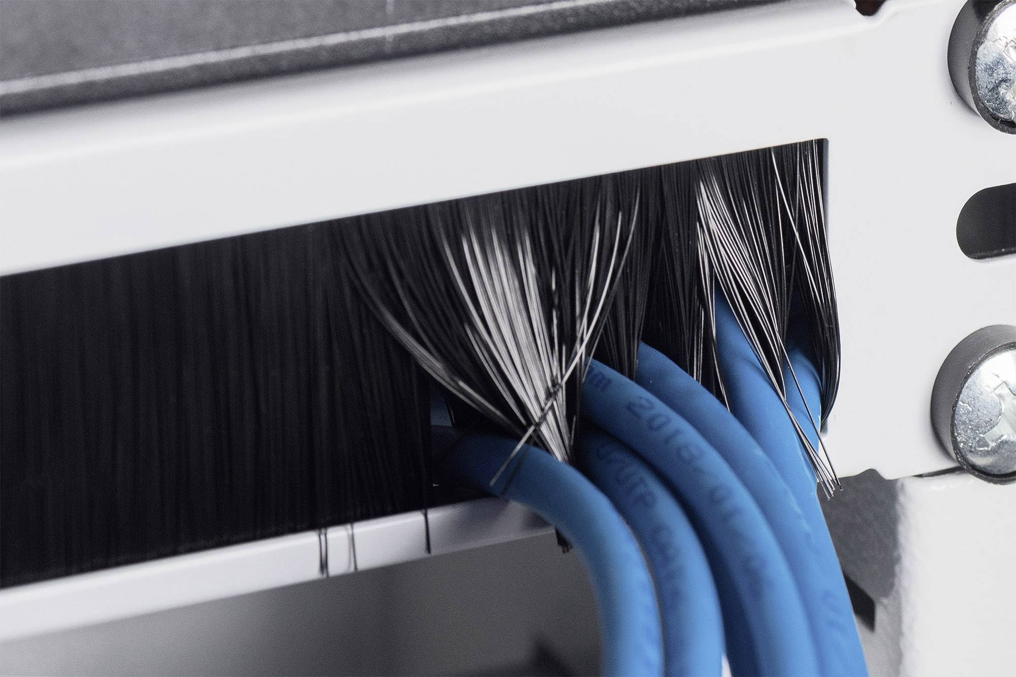 Detailní záběr modrých ethernetových kabelů vedoucích skrz kabelovou průchodku do rozvaděče.