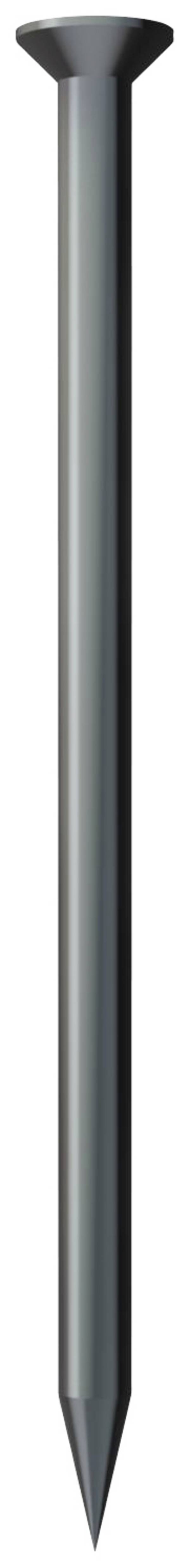 OBO Bettermann 362 30 BK 3353303 hřebík s čočkovou hlavou  (Ø x d) 2 mm x 30 mm ocel tvrzeno 100 ks