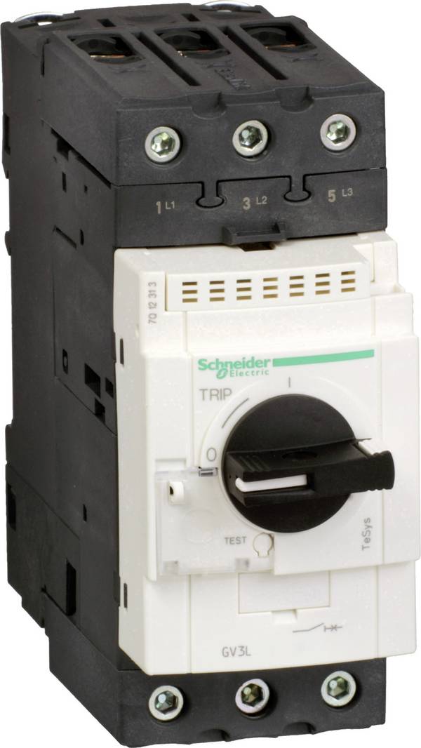 Schneider Electric  GV3L65  GV3L65  ochranný spínač motoru          1 ks
