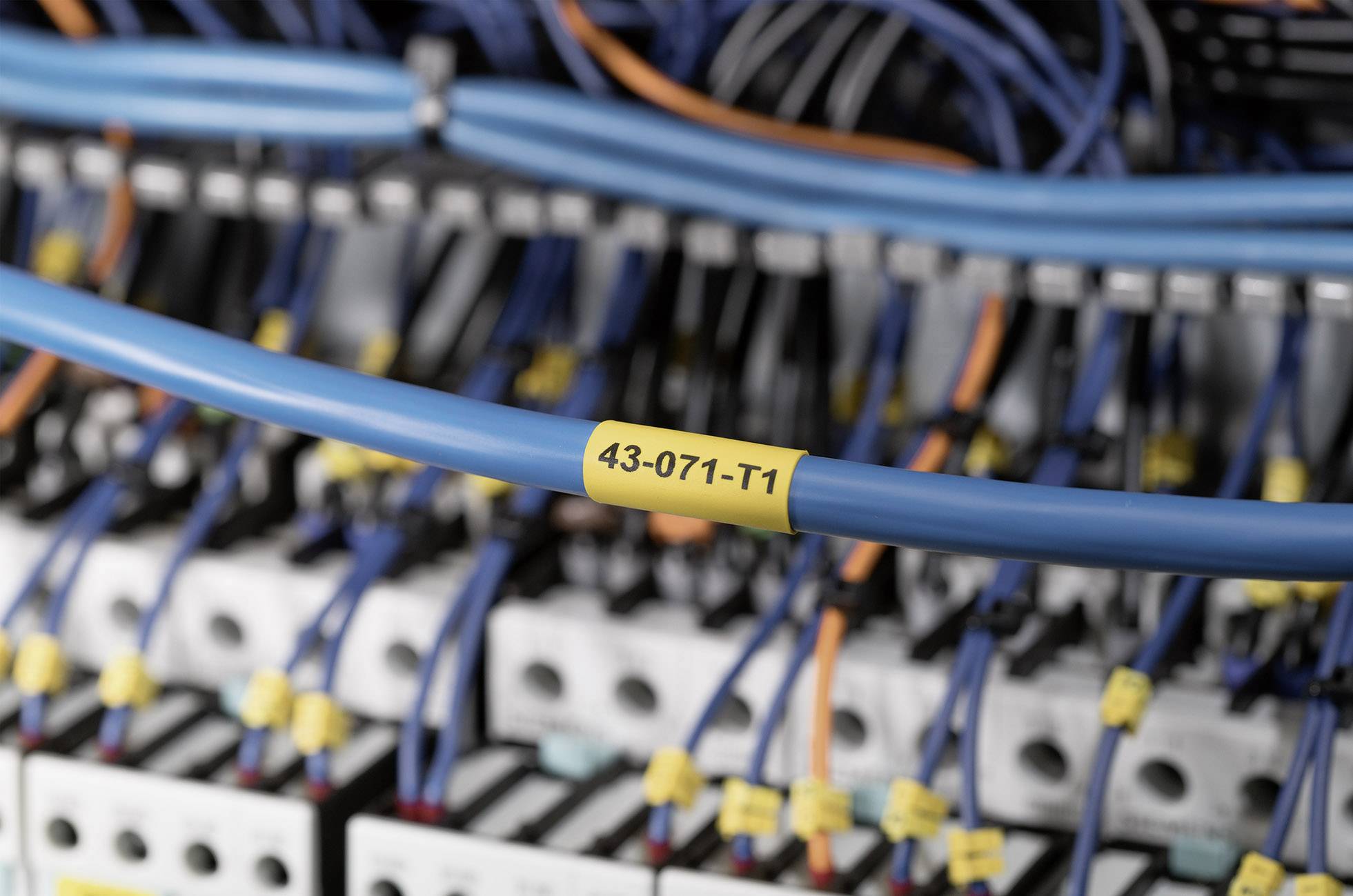 Modrý síťový kabel v serverovně, s žlutou nálepkou '43-071-T1', obklopený dalšími kabely a přípojkami.