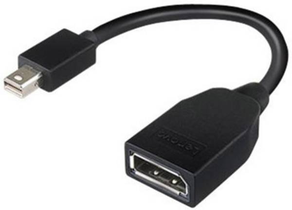 Lenovo 4X90L13971 DisplayPort adaptér [1x mini DisplayPort zástrčka - 1x zásuvka DisplayPort] černá  0 mm