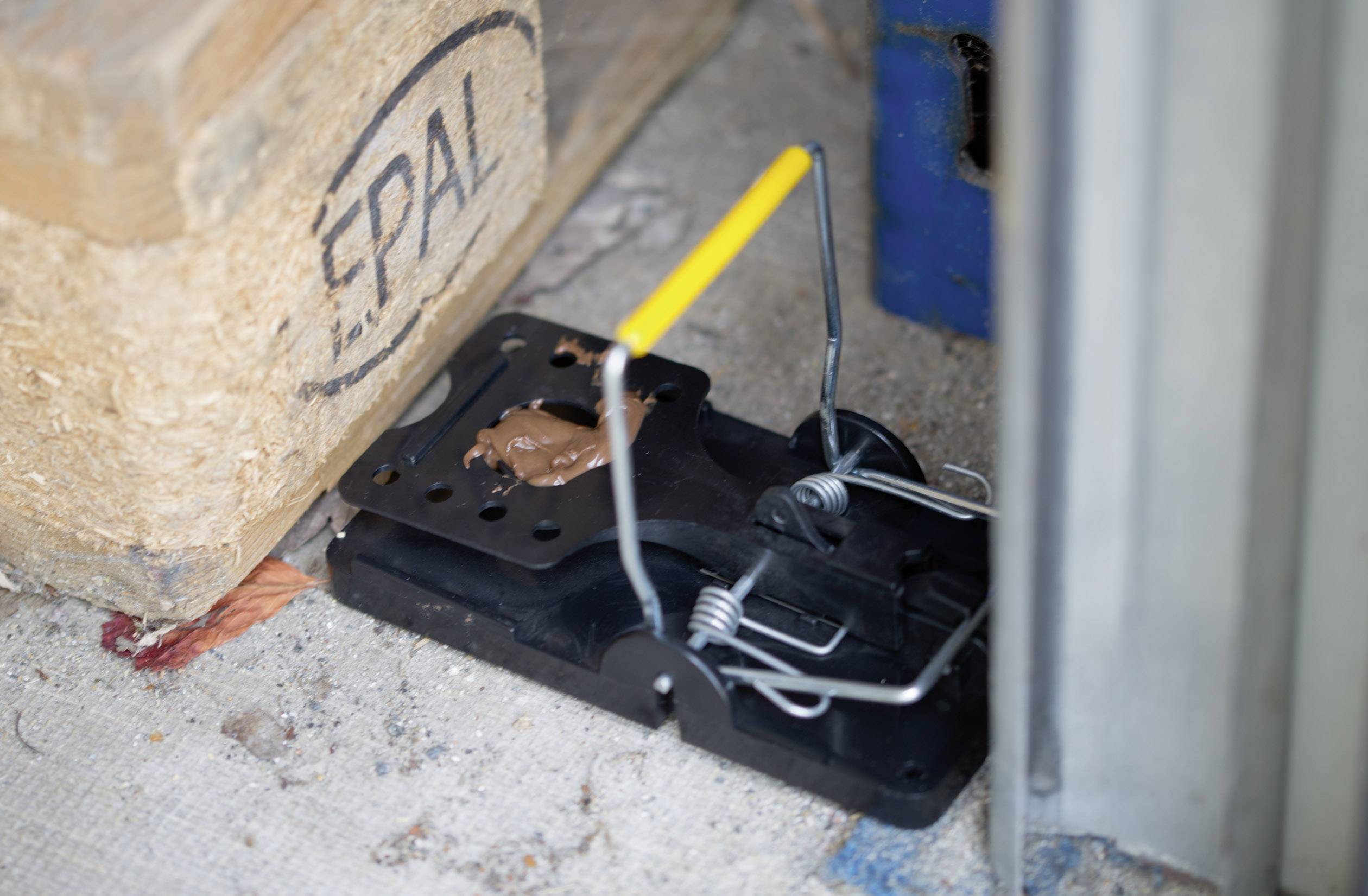 Gardigo rat trap past na krysy Druh funkce feromon 5 ks-1