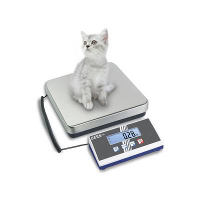 Malá kočka sedí na digitální váze, která ukazuje hmotnost 0,28 kg.