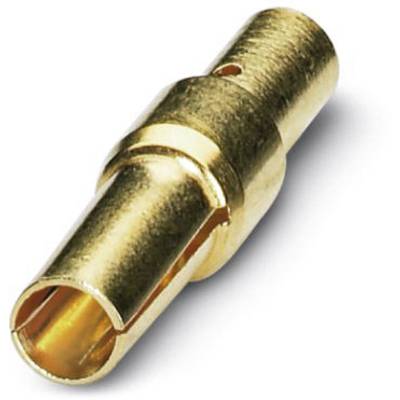 Zlatem pokovený válcový konektor s otvorem na jednom konci, vhodný pro elektronické připojení.