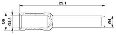 Technický výkres válcové součásti s rozměry: celková délka 29,1 mm, vnější průměr 6 mm, vnitřní průměr 4,3 mm, průměr hlavy 4 mm.