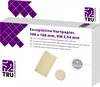 TRU COMPONENTS eurodeska tvrzený papír (d x š) 160 mm x 100 mm 35 µm Rastr (rozteč) 2.54 mm Množství 4 ks