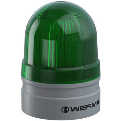 Zelená LED signální svítilna od společnosti WERMA s průhledným krytem a šedou základnou.