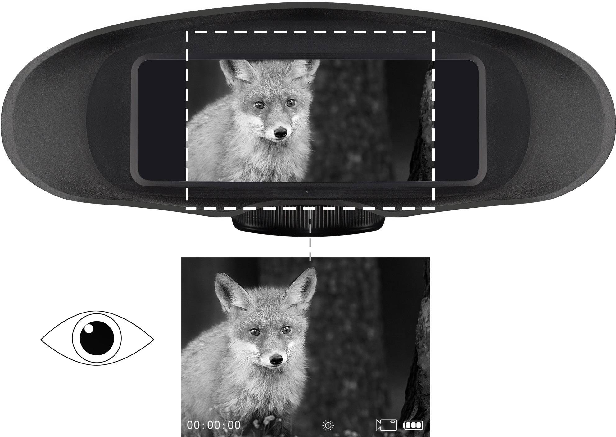 Obrazovka zobrazuje fotografii lišky, která je sledována hledáčkem. Dole je detail stejného snímku.