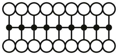 Diagram ukazuje mřížku 3x4 propojených kruhů.