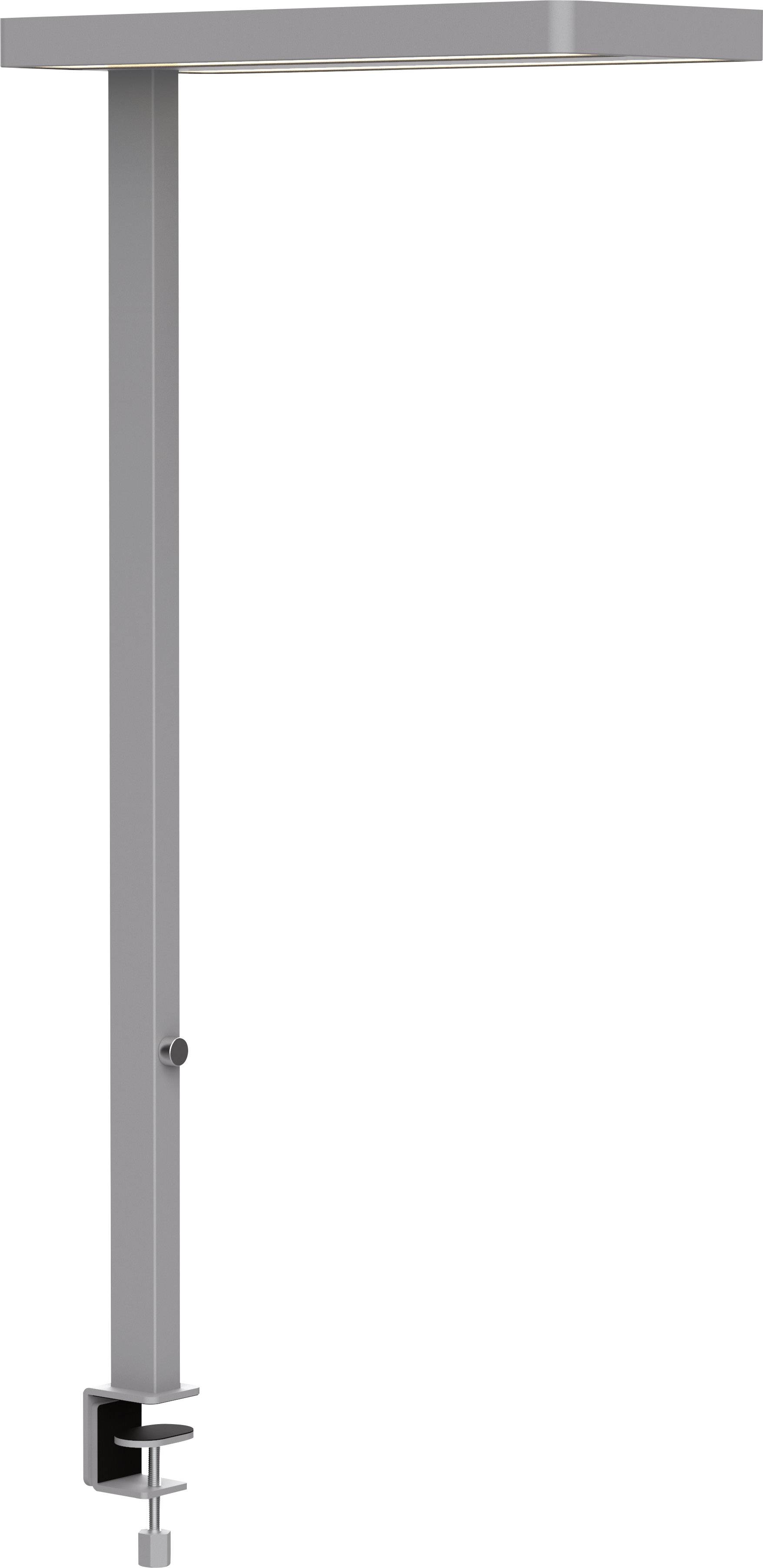 Šedá stolní lampa s obdélníkovitou hlavicí, upevněná svorkou. Minimalistický design vhodný pro pracovní stoly.