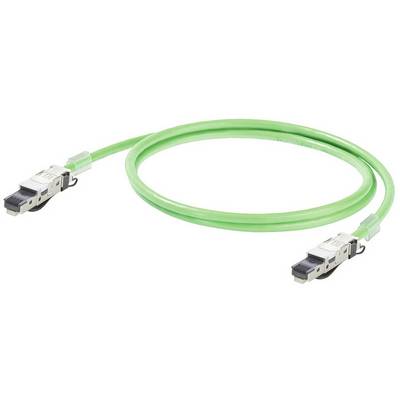 Zelený síťový kabel s dvěma RJ45 konektory na obou koncích, na bílém pozadí.