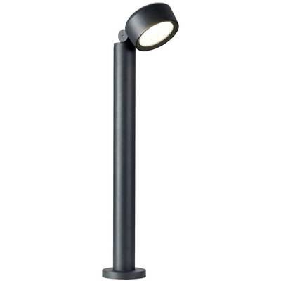 Černá stojací lampa s kulatou hlavou a nastavitelným kloubem, která spojuje moderní design.