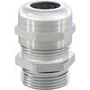 Kabelová průchodka RST Euro Top MS / NPT 60080012 mosaz (poniklovaná), délka závitu 13 mm, 50 ks