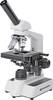 Bresser Optik 5102060 Erudit DLX mikroskop s procházejícím světlem monokulární 600 x procházející světlo