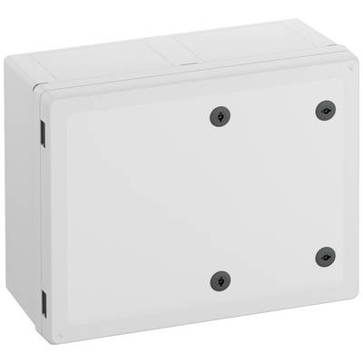 Obdélníkový bílý plastový box se čtyřmi černými šrouby na přední straně. Slouží jako kryt pro elektrické instalace.