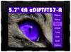 DISPLAY VISIONS LCD displej (š x v x h) 146.4 x 107.2 x 13.2 mm