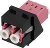 Rutenbeck 228090100 modul pro optické kabely fialová 1 ks