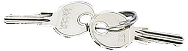 Dva stříbrné klíče jsou propojeny kroužkem a leží vedle sebe.