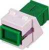 Rutenbeck 228080900 modul pro optické kabely zelená 1 ks