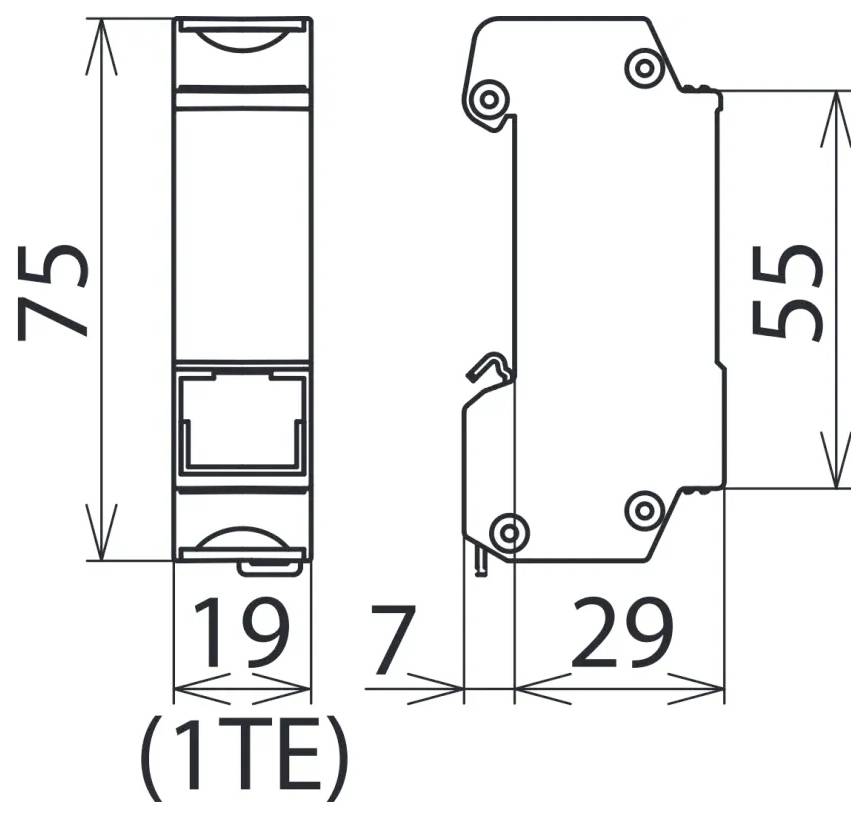Elektrický diagram komponenty zobrazující rozměry: výška 75 mm, šířka 19 mm označená jako '1TE', hloubka 29 mm a 55 mm výšky pro boční pohled.