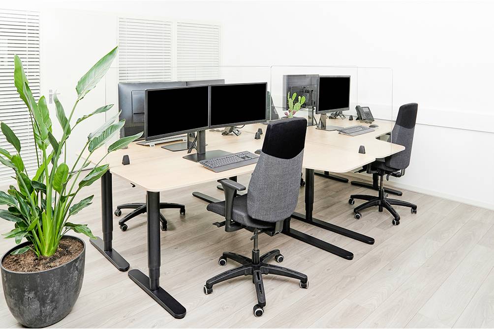 Moderní kancelář se dvěma pracovními místy. Každé místo je vybaveno dvěma monitory, počítačem, klávesnicí a židlí. V rohu stojí rostliny.