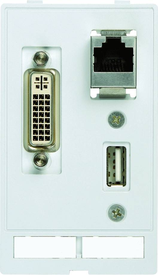 Bílá připojovací deska s DVI, ethernetovým a USB portem, používaná pro síťové a zařízení připojení.