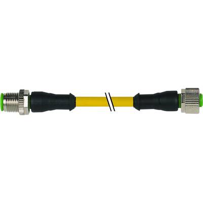 Murrelektronik upravený zástrčkový konektor pro senzory - aktory, 7000-40041-0350100, piny: 5, 1.00 m, 1 ks