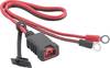 Staudte-Hirsch 911000.O 911000.O