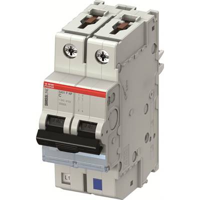 Jistič s červeným štítkem a dvěma černými spínači, montovatelný na elektrickou lištu. Štítek: 'ABB S401 PN'.