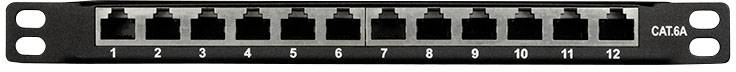 Černý panel pro správu síťových kabelů CAKA se dvanácti očíslovanými porty RJ45 pro organizaci ethernetových připojení.